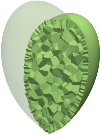 VoroLight Volumetric 2